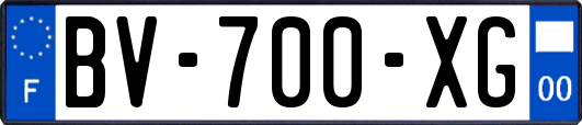BV-700-XG