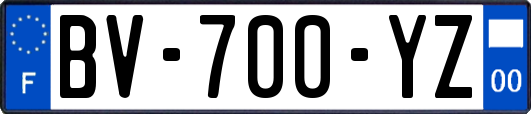 BV-700-YZ