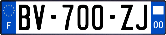 BV-700-ZJ