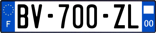 BV-700-ZL