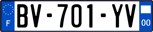 BV-701-YV