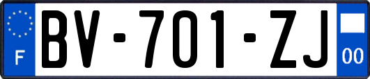 BV-701-ZJ