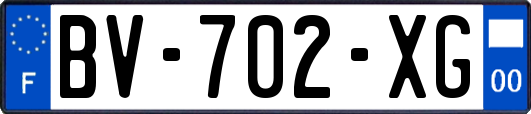 BV-702-XG