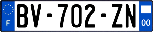 BV-702-ZN