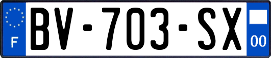 BV-703-SX