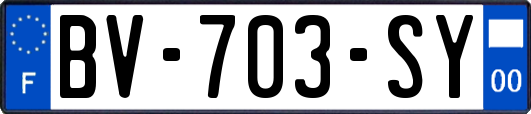 BV-703-SY