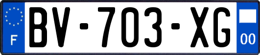 BV-703-XG