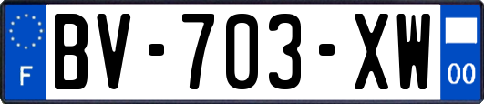 BV-703-XW