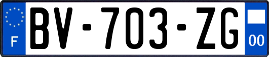 BV-703-ZG