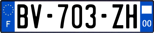 BV-703-ZH