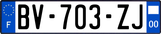 BV-703-ZJ