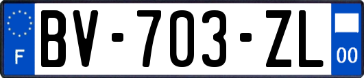 BV-703-ZL