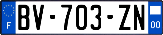 BV-703-ZN