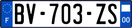 BV-703-ZS