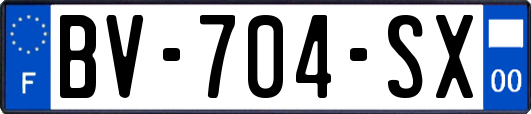 BV-704-SX