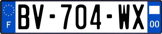 BV-704-WX