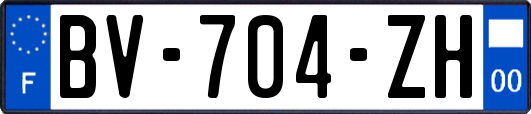 BV-704-ZH