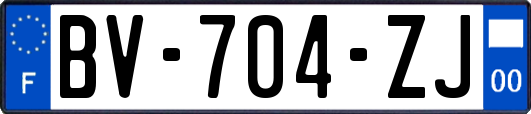 BV-704-ZJ