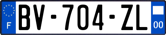 BV-704-ZL