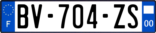 BV-704-ZS