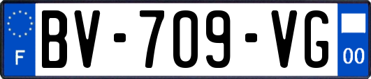 BV-709-VG