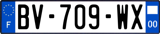 BV-709-WX