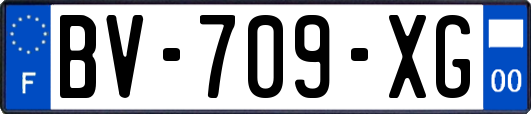 BV-709-XG