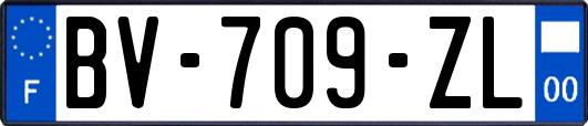 BV-709-ZL