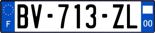 BV-713-ZL