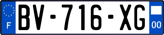 BV-716-XG