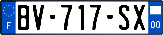 BV-717-SX