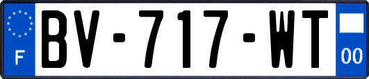 BV-717-WT