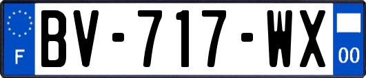 BV-717-WX