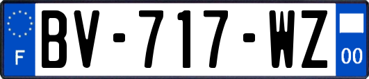 BV-717-WZ