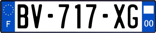 BV-717-XG
