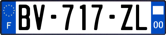 BV-717-ZL