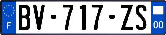 BV-717-ZS