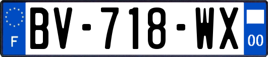 BV-718-WX