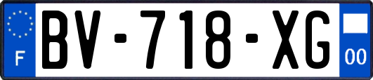 BV-718-XG