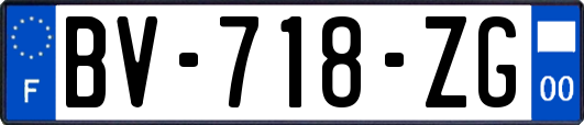 BV-718-ZG