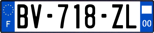 BV-718-ZL