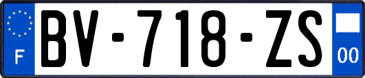 BV-718-ZS