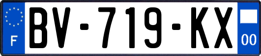 BV-719-KX