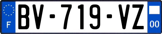 BV-719-VZ