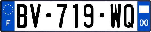 BV-719-WQ