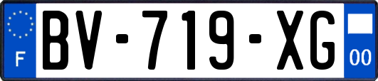 BV-719-XG