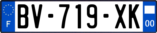 BV-719-XK