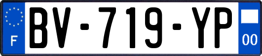 BV-719-YP