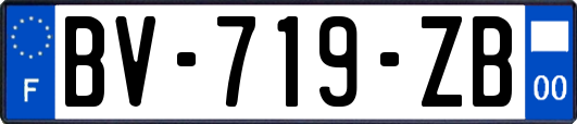 BV-719-ZB