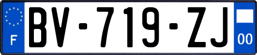 BV-719-ZJ